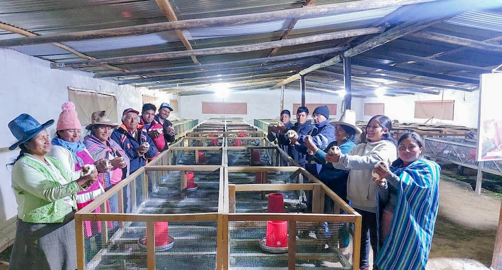Midagri: el proyecto «Andes Resilient» fortalece la agricultura familiar y la seguridad del agua en ocho regiones del país | Último | PERÚ

 – El diario andino