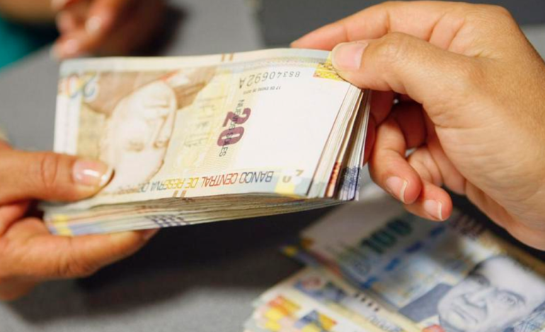 Las regulaciones de reforma de pensiones garantizan una pensión mínima para todos
– El diario andino