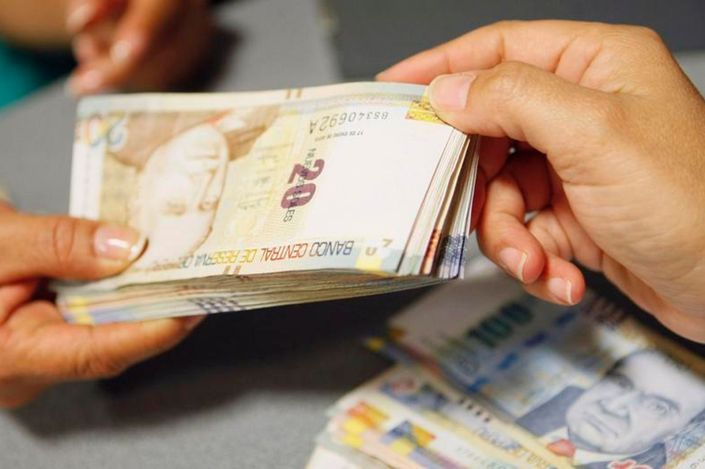 Las regulaciones de reforma de pensiones garantizan una pensión mínima para todos

 – El diario andino