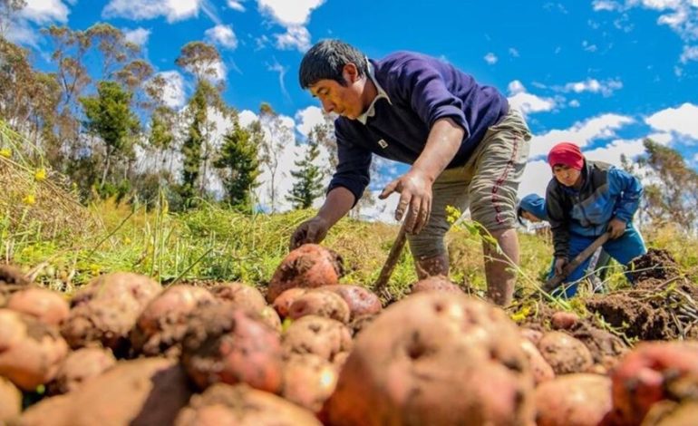 El gobierno prioriza la atención agrícola con la cartera de proyectos de agua, acceso a nuevos mercados y título gratuito | PERÚ

 – El diario andino