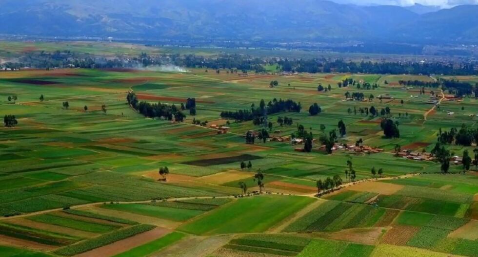 Huancayo: Conozca uno de los mejores destinos para visitar esta temporada de primavera | PERÚ

 – El diario andino