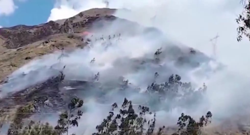 Pasco: Vida mayor en Forest Fire en San Pedro de Pillao | PERÚ

 – El diario andino