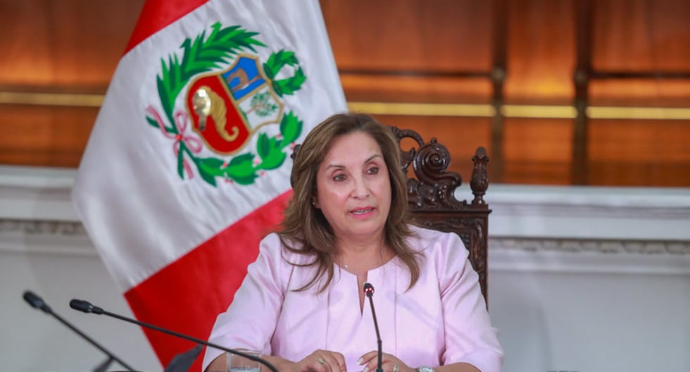 Dina Boluarte sobre protestas: «No renunciaré a algunas voces que se usan para vivir en la anarquía» | Último | Citación

 – El diario andino