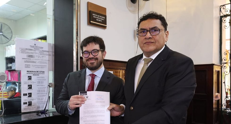 JNE presenta la competencia de TC contra el sistema judicial para decidir sobre la unidad popular | Citación

 – El diario andino