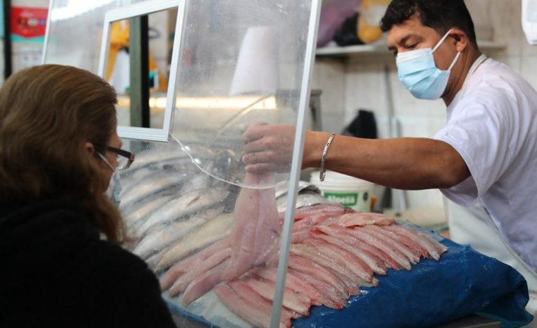La inflación en la chapa cayó en agosto
– El diario andino