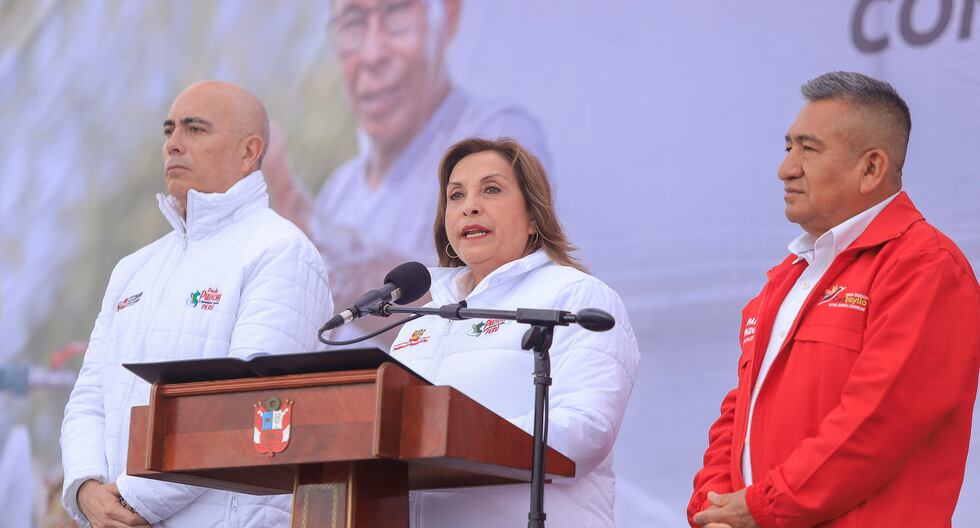 Dina Boluarte: Nuestro gobierno continuará trabajando sin ser amado por nada o nadie (…) No tenemos interés o partidario político | Último | Citación

 – El diario andino