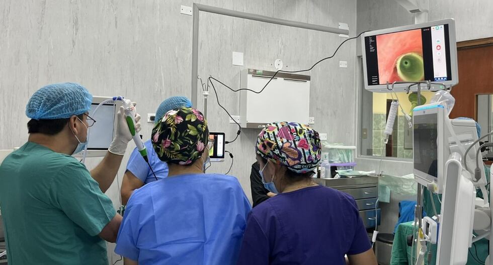 Los neumólogos HEP extraen NID y maíz de Chulucanas y Tarapoto Children’s Airways | Último hospital de emergencia pediátrica | PERÚ

 – El diario andino
