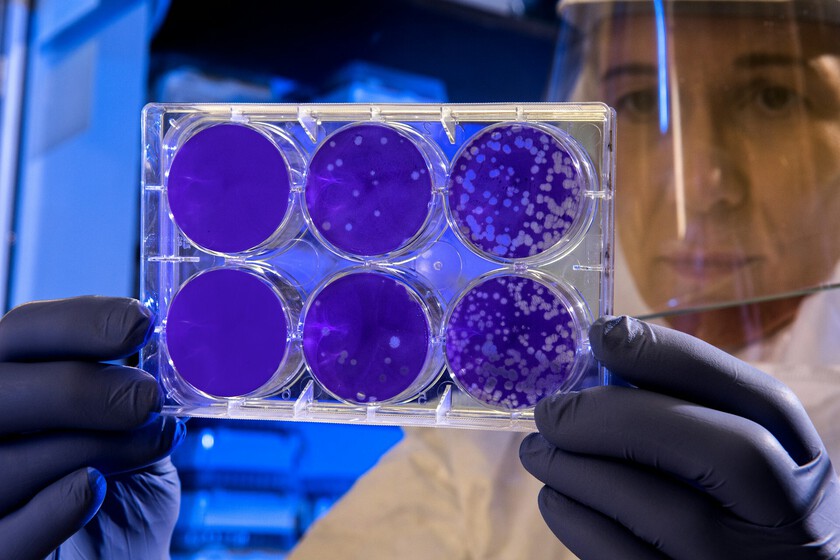 Es la clave para terminar con las superbacterias

 – El diario andino