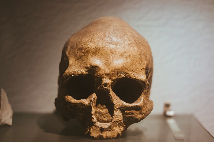 Un millón de años de años sugiere que el ‘Homo sapiens’ no proviene de África

 – El diario andino