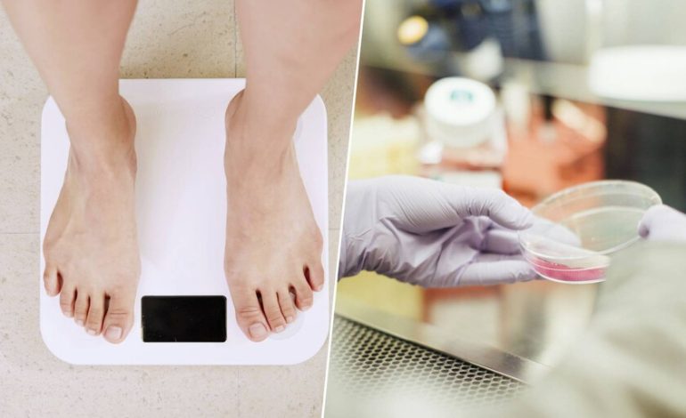 Hemos descubierto el «botón» que activa nuestra hambre. Y es la próxima revolución en medicamentos para bajar de peso.
– El diario andino