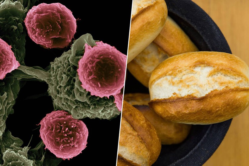 Un estudio acaba de correlacionarlos con un mayor riesgo de cáncer

 – El diario andino