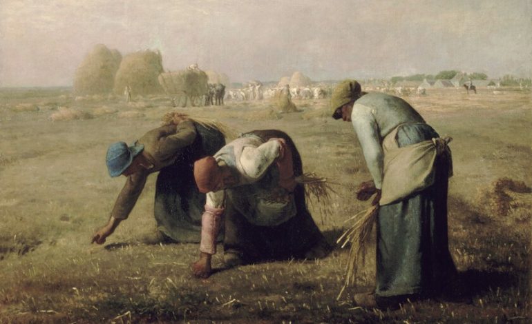 el experimento más antiguo del mundo
– El diario andino