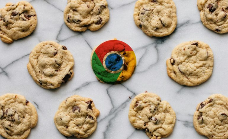 Las cookies seguirán dominando todo
– El diario andino