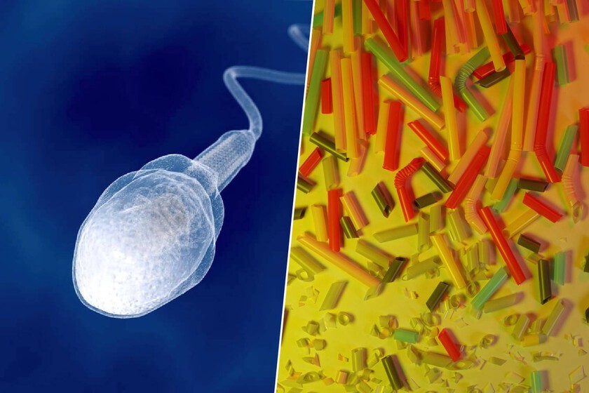 Limpiar nuestras eyaculaciones de microplásticos.

 – El diario andino