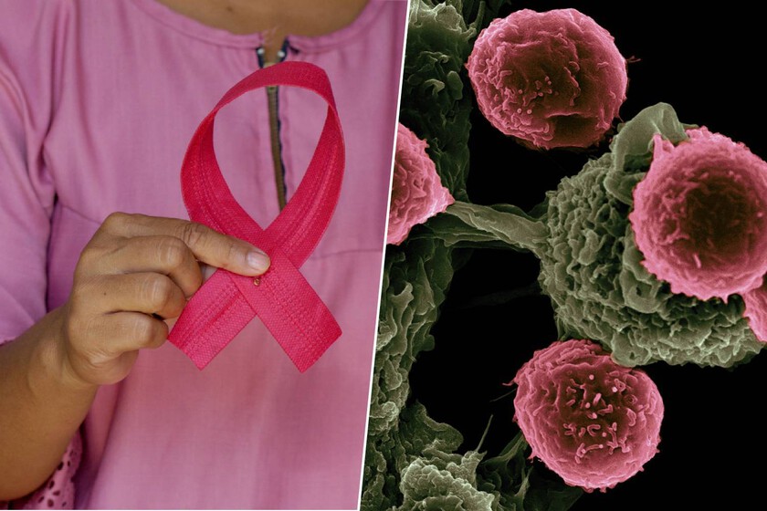 Los «misiles guiados» están revolucionando el tratamiento del cáncer. Y ya están dando resultados
 – El diario andino