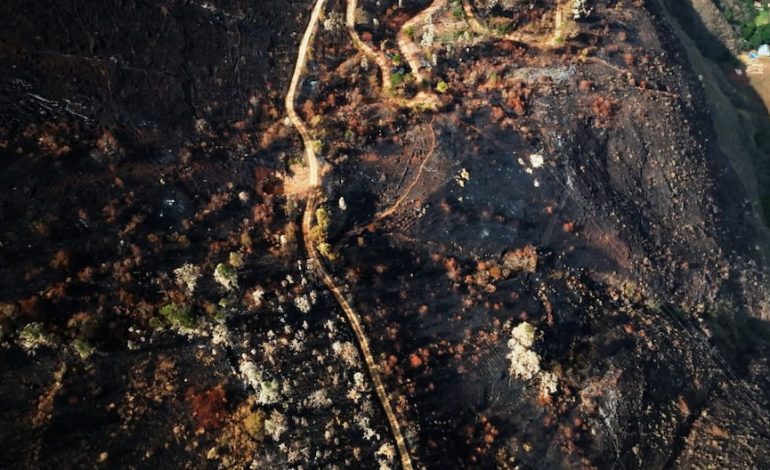 Incendios forestales quemaron 2,3 millones de hectáreas en Perú: el equivalente a diez veces Lima Metropolitana | PERÚ
 – El diario andino