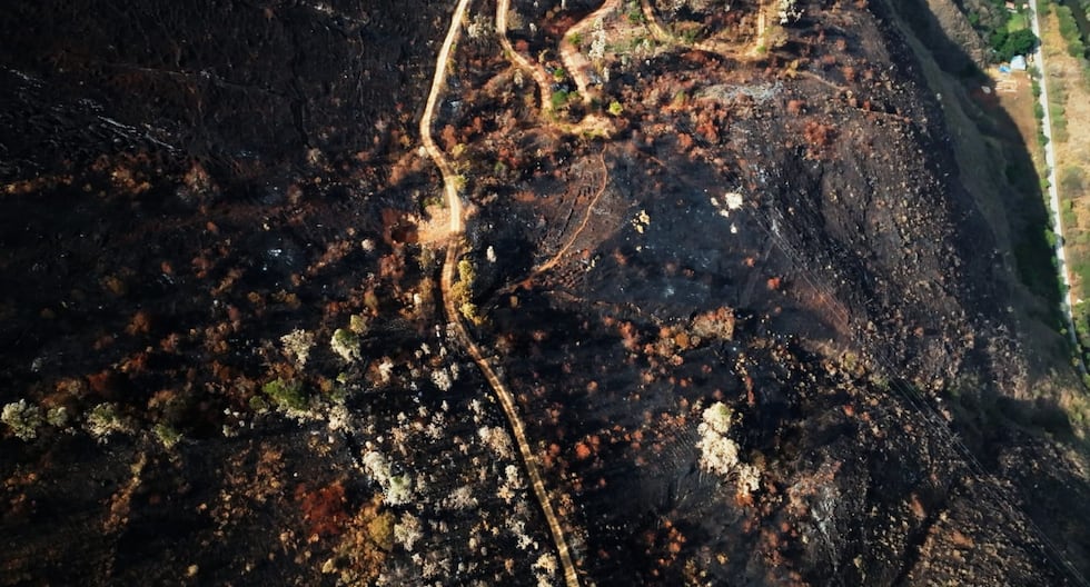 Incendios forestales quemaron 2,3 millones de hectáreas en Perú: el equivalente a diez veces Lima Metropolitana | PERÚ
 – El diario andino