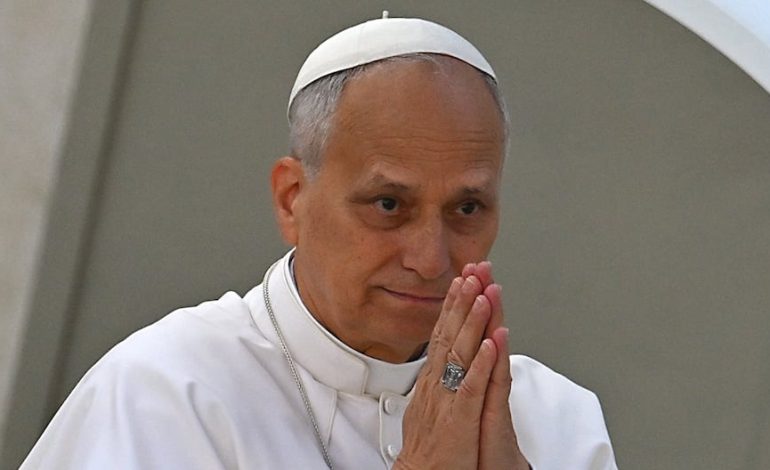 El Papa Leo XIV celebra «avances significativos» hacia La Paz en Gaza

 – El diario andino