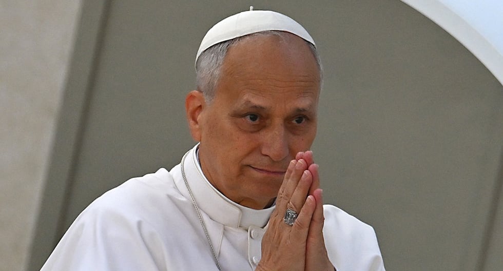 El Papa Leo XIV celebra «avances significativos» hacia La Paz en Gaza

 – El diario andino