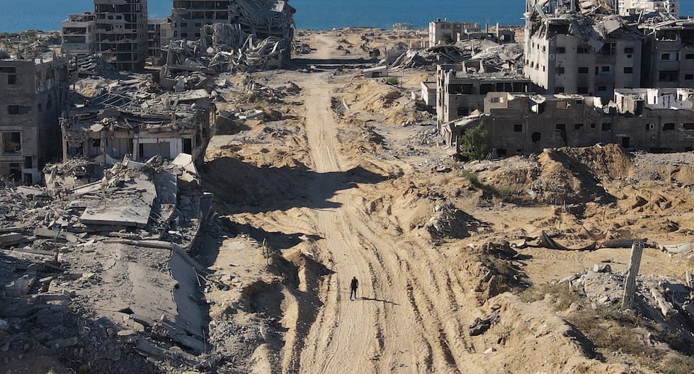 Israel mata a once miembros de una familia, entre ellos siete menores, al bombardear un minibús en Gaza | MUNDO

 – El diario andino