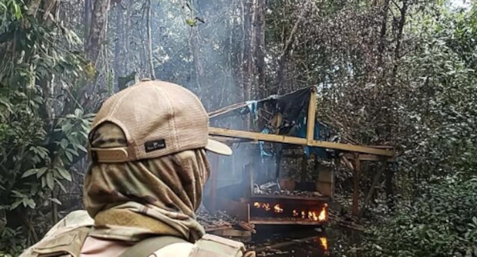 Minería ilegal en Loreto: 19 dragas y más de 120 cilindros de combustible destruidos en la zona del río Nanay | último | PERÚ

 – El diario andino