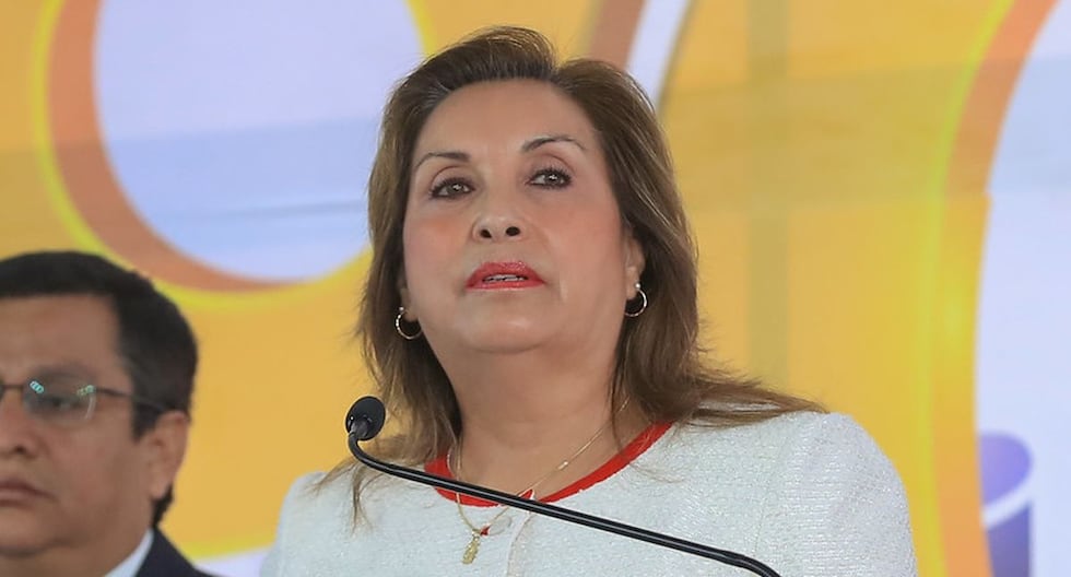 Dina Boluarte a los transportistas: «Les vamos a servir, no vamos a hacer la vista gorda y no los vamos a mirar de costado» | Citación

 – El diario andino