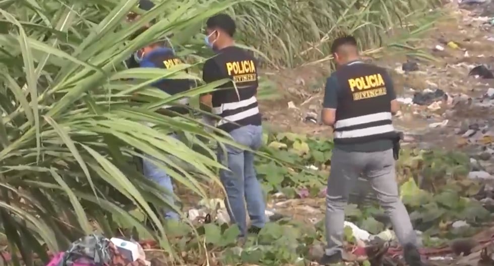 Trujillo: encuentran muerto a un adolescente desaparecido hace una semana en un cañaveral de Laredo | último | PERÚ

 – El diario andino