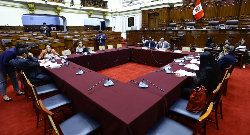 Congreso: El Comité Constitucional acuerda evitar cambios constantes en las pensiones parlamentarias | Último | Citación

 – El diario andino