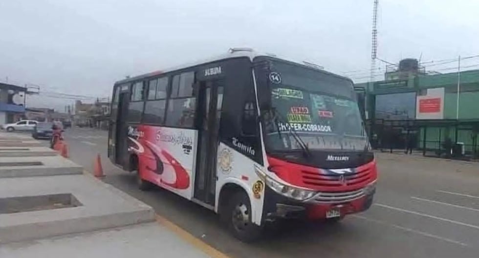 Trujillo: Sicario Atacan Public Transport Bus en El Milagro | extorsión | PNP | Último | PERÚ

 – El diario andino