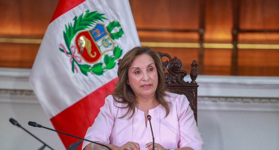 Dina Boluarte: Perú continuará apostando a fortalecer su democracia | Último | Citación

 – El diario andino