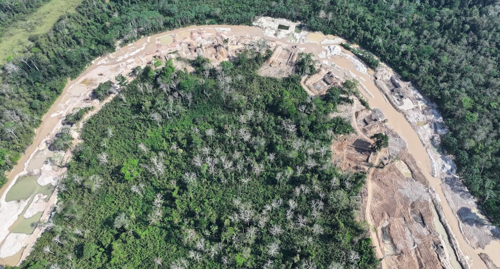 La estación biológica de Panguana bajo amenaza de minería ilegal: estado ausente y amazon en riesgo | Huánuco | Ucayalí ​​| PERÚ

 – El diario andino