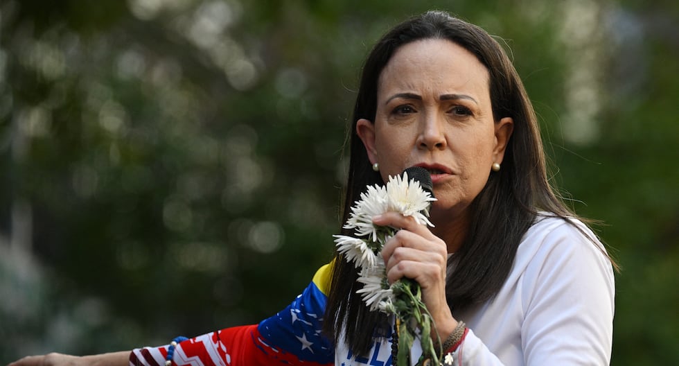 María Corina Machado gana el Premio Nobel de la Paz 2025 | ¿Quién es el cerebro y el corazón de la oposición en Venezuela? Nicolás Maduro | PERFIL | MUNDO

 – El diario andino