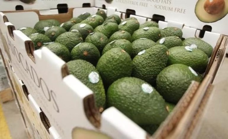 AgroExportaciones superaron los $7.800 millones
– El diario andino