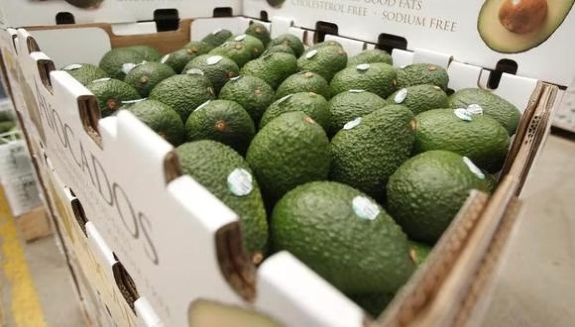 AgroExportaciones superaron los $7.800 millones

 – El diario andino