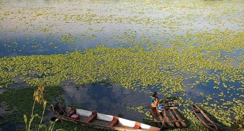 Iniciativa internacional busca conservar un millón de hectáreas de humedales claves para el agua en Perú | Lo último | PERÚ
 – El diario andino