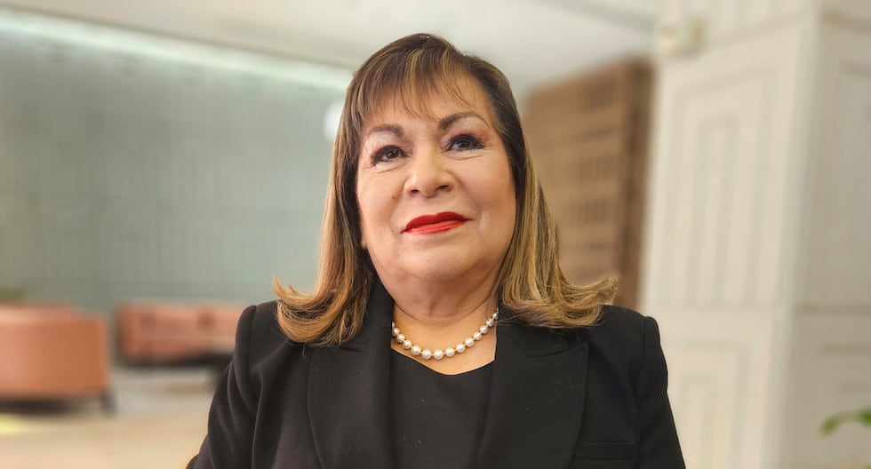 Luz Ibáñez: “Postular a la Corte Internacional de Justicia de La Haya requiere una campaña enorme y el mayor trabajo lo debe hacer la Cancillería” | Corte Penal Internacional | MUNDO – El diario andino