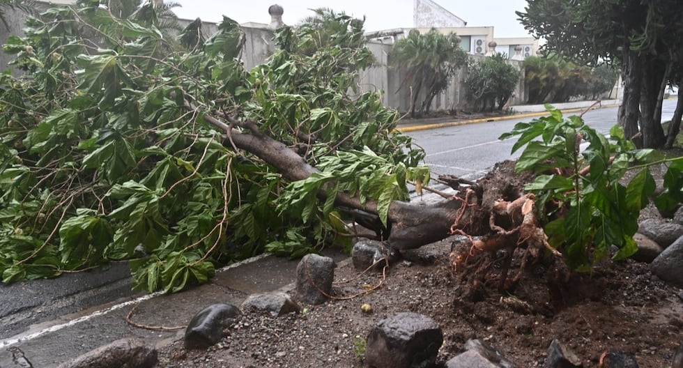 Más del 70% de Jamaica sigue sin electricidad y 134 carreteras bloqueadas por el último huracán Melissa | MUNDO

 – El diario andino