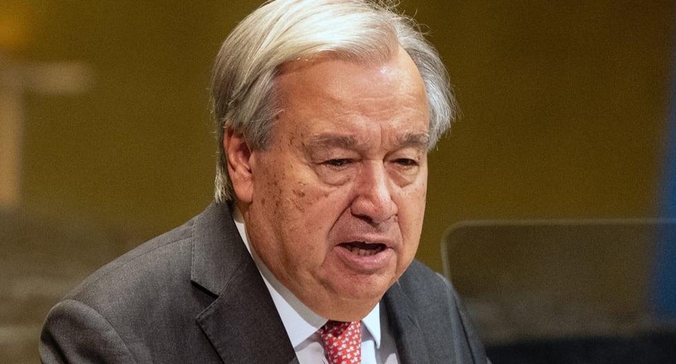 Gaza: El Secretario General de la ONU alaba el curso de las negociaciones entre Israel y Hamas | Último | MUNDO

 – El diario andino