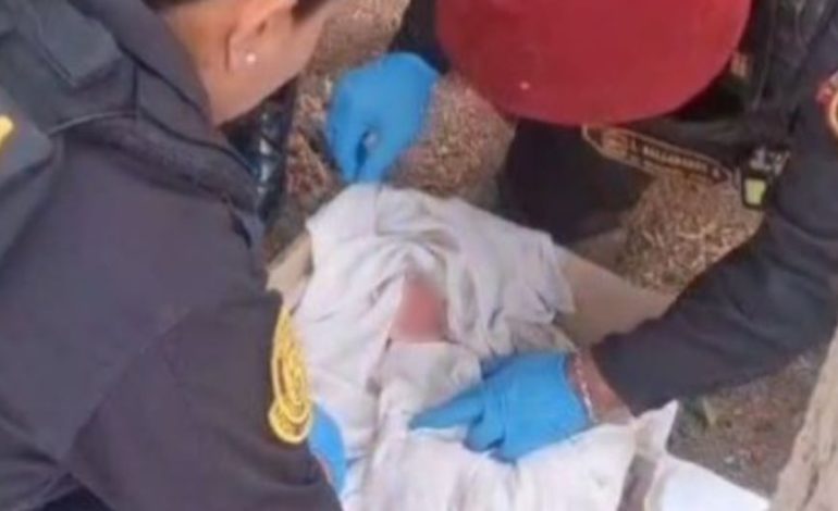 Chiclayo: PNP rescató a un bebé abandonado dentro de una caja de cartón
– El diario andino