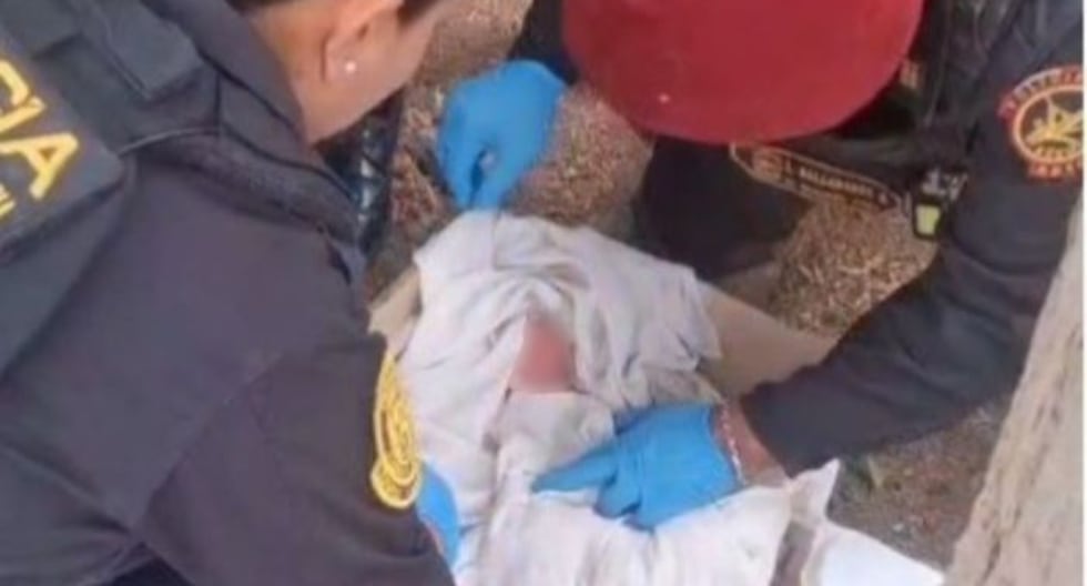 Chiclayo: PNP rescató a un bebé abandonado dentro de una caja de cartón

 – El diario andino