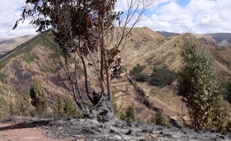 Cusco: La lluvia ayuda a controlar el fuego en el valle sagrado de los incas | Último | PERÚ

 – El diario andino