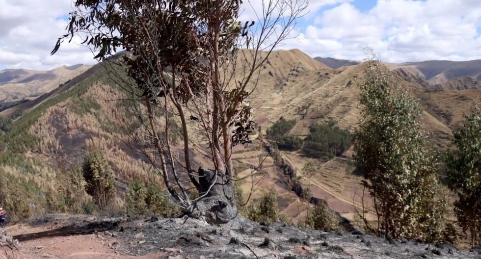 Cusco: La lluvia ayuda a controlar el fuego en el valle sagrado de los incas | Último | PERÚ

 – El diario andino