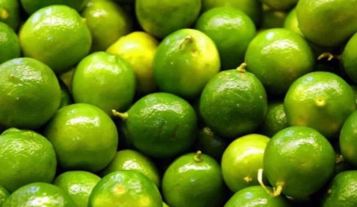 Recupera la producción, pero los precios aún no han sido

 – El diario andino