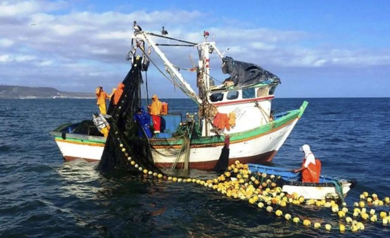 Tragedia de la pesca común y artística en el Perú
– El diario andino