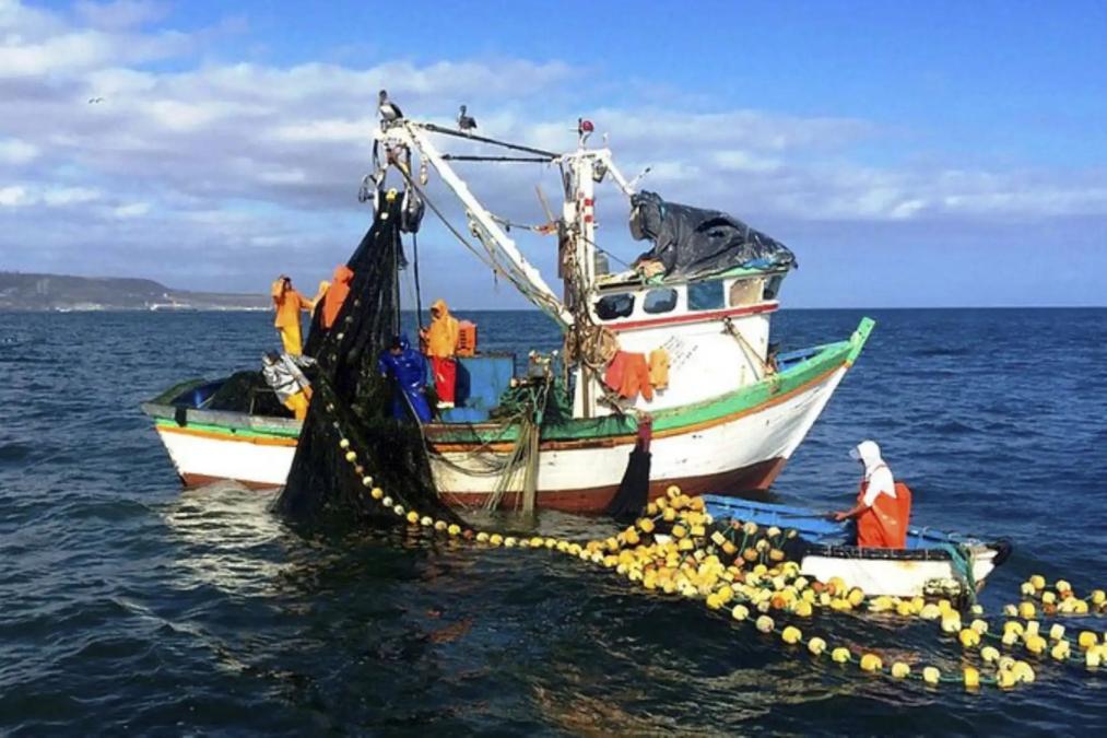Tragedia de la pesca común y artística en el Perú

 – El diario andino