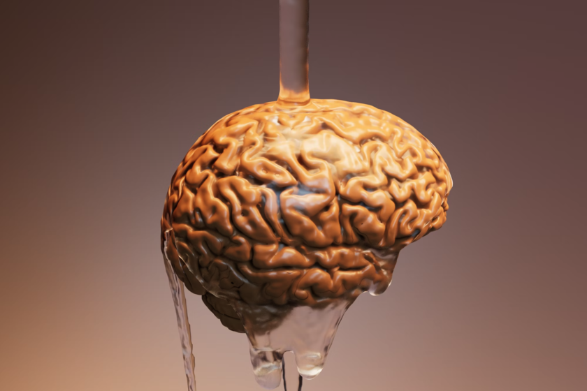 Cómo los hemisferios cerebrales dieron forma al mundo occidental

 – El diario andino