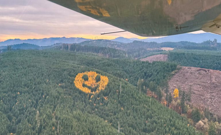 En Oregón hay un bosque con un tatuaje que aparece cada otoño: un emoji gigante

 – El diario andino