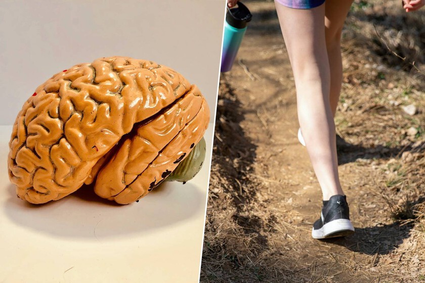 Unos pocos pasos al día son suficientes para detener la chispa que enciende la enfermedad.

 – El diario andino