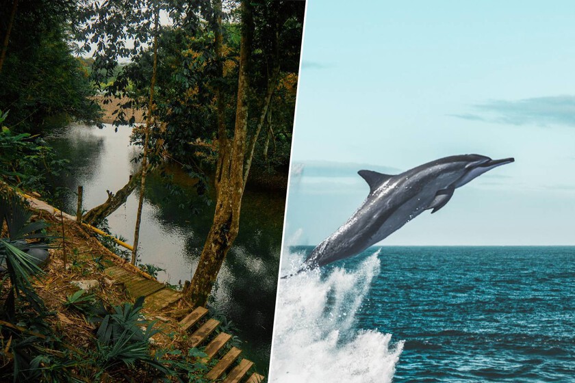 Así la ciencia ha desvelado el misterio del lago Tefé

 – El diario andino
