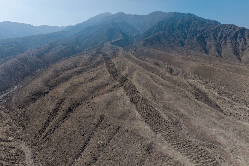 Había miles de agujeros misteriosos alineados en Perú. No sabíamos por qué hasta que un dron los vio desde el aire.

 – El diario andino